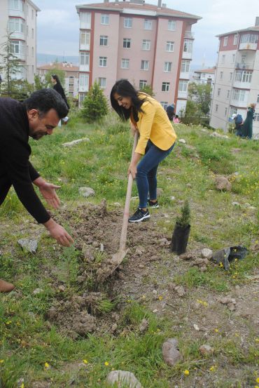 Ağaç Dikme Etkinliği